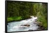 Banff Glacial River Photo Print Poster-null-Framed Poster