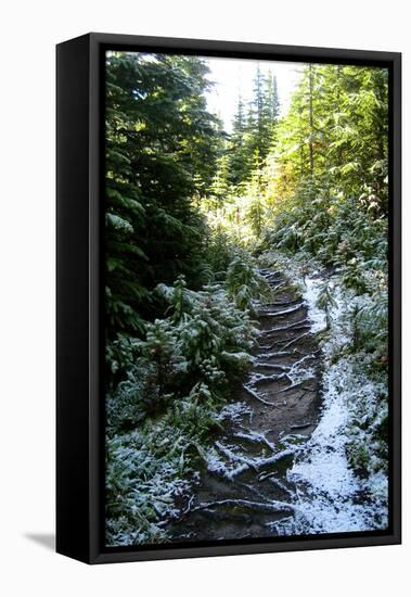 Banff Hiking Trail Photo Print Poster-null-Framed Stretched Canvas
