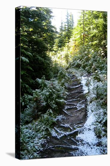 Banff Hiking Trail Photo Print Poster-null-Stretched Canvas