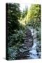 Banff Hiking Trail Photo Print Poster-null-Stretched Canvas