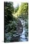 Banff Hiking Trail Photo Print Poster-null-Stretched Canvas