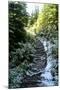 Banff Hiking Trail Photo Print Poster-null-Mounted Poster