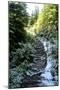 Banff Hiking Trail Photo Print Poster-null-Mounted Poster