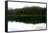 Banff Lake Landscape Photo Print Poster-null-Framed Stretched Canvas