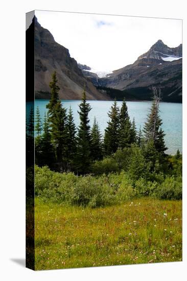 Banff Lake Photo Print Poster-null-Stretched Canvas