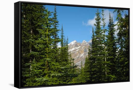 Banff Mountain Peak from Forest Nature Photo Poster-null-Framed Stretched Canvas
