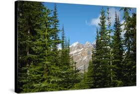 Banff Mountain Peak from Forest Nature Photo Poster-null-Stretched Canvas