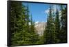 Banff Mountain Peak from Forest Nature Photo Poster-null-Framed Poster