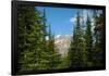 Banff Mountain Peak from Forest Nature Photo Poster-null-Framed Poster