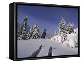 Banff National Park, Alberta, Canada-null-Framed Stretched Canvas