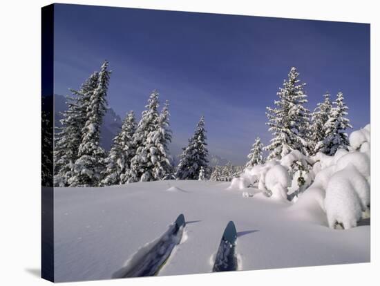 Banff National Park, Alberta, Canada-null-Stretched Canvas