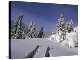 Banff National Park, Alberta, Canada-null-Stretched Canvas