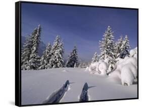 Banff National Park, Alberta, Canada-null-Framed Stretched Canvas