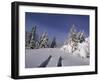 Banff National Park, Alberta, Canada-null-Framed Photographic Print