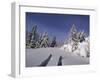 Banff National Park, Alberta, Canada-null-Framed Photographic Print