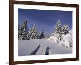 Banff National Park, Alberta, Canada-null-Framed Photographic Print