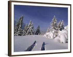 Banff National Park, Alberta, Canada-null-Framed Photographic Print