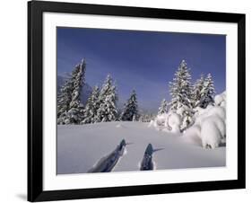 Banff National Park, Alberta, Canada-null-Framed Photographic Print