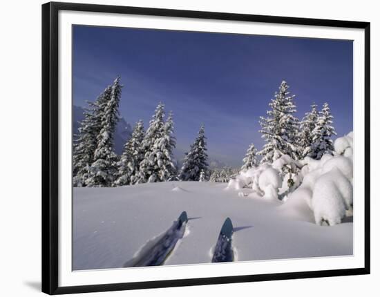 Banff National Park, Alberta, Canada-null-Framed Photographic Print