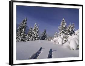 Banff National Park, Alberta, Canada-null-Framed Photographic Print