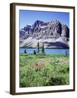 Banff National Park, Mountain Wildflowers around Bow Lake-Christopher Talbot Frank-Framed Premium Photographic Print