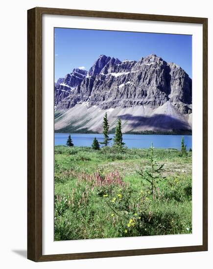Banff National Park, Mountain Wildflowers around Bow Lake-Christopher Talbot Frank-Framed Premium Photographic Print