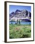 Banff National Park, Mountain Wildflowers around Bow Lake-Christopher Talbot Frank-Framed Premium Photographic Print