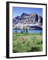 Banff National Park, Mountain Wildflowers around Bow Lake-Christopher Talbot Frank-Framed Premium Photographic Print