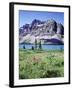 Banff National Park, Mountain Wildflowers around Bow Lake-Christopher Talbot Frank-Framed Premium Photographic Print