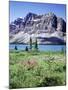 Banff National Park, Mountain Wildflowers around Bow Lake-Christopher Talbot Frank-Mounted Premium Photographic Print