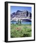 Banff National Park, Mountain Wildflowers around Bow Lake-Christopher Talbot Frank-Framed Photographic Print