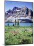 Banff National Park, Mountain Wildflowers around Bow Lake-Christopher Talbot Frank-Mounted Photographic Print