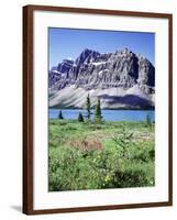 Banff National Park, Mountain Wildflowers around Bow Lake-Christopher Talbot Frank-Framed Photographic Print