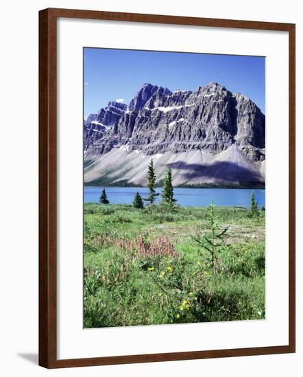 Banff National Park, Mountain Wildflowers around Bow Lake-Christopher Talbot Frank-Framed Photographic Print