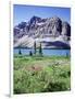 Banff National Park, Mountain Wildflowers around Bow Lake-Christopher Talbot Frank-Framed Photographic Print