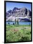 Banff National Park, Mountain Wildflowers around Bow Lake-Christopher Talbot Frank-Framed Photographic Print