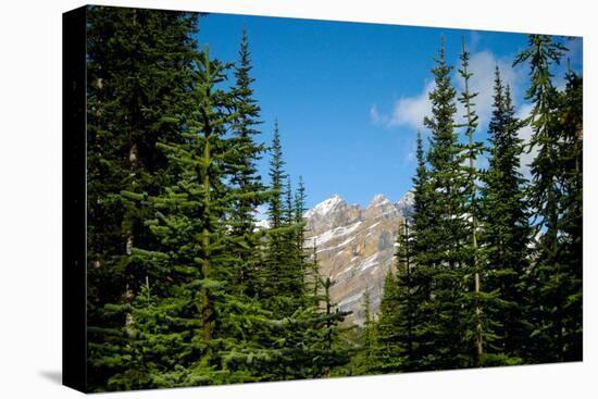 Banff Park Mountain Landscape Photo Print Poster-null-Stretched Canvas