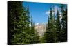 Banff Park Mountain Landscape Photo Print Poster-null-Stretched Canvas