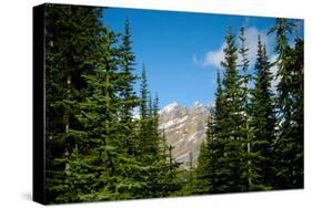 Banff Park Mountain Landscape Photo Print Poster-null-Stretched Canvas