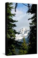 Banff Park Photo Print Poster-null-Stretched Canvas