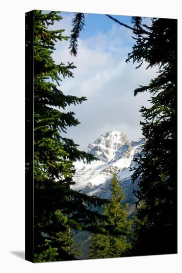 Banff Park Photo Print Poster-null-Stretched Canvas