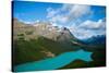 Banff Peyto Lake in Canadian Rockies Photo Print Poster-null-Stretched Canvas