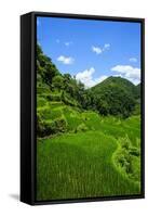 Bangaan in the Rice Terraces of Banaue, Northern Luzon, Philippines, Southeast Asia, Asia-Michael Runkel-Framed Stretched Canvas