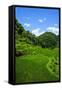 Bangaan in the Rice Terraces of Banaue, Northern Luzon, Philippines, Southeast Asia, Asia-Michael Runkel-Framed Stretched Canvas