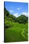 Bangaan in the Rice Terraces of Banaue, Northern Luzon, Philippines, Southeast Asia, Asia-Michael Runkel-Stretched Canvas