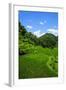 Bangaan in the Rice Terraces of Banaue, Northern Luzon, Philippines, Southeast Asia, Asia-Michael Runkel-Framed Photographic Print