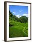 Bangaan in the Rice Terraces of Banaue, Northern Luzon, Philippines, Southeast Asia, Asia-Michael Runkel-Framed Photographic Print