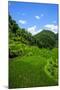 Bangaan in the Rice Terraces of Banaue, Northern Luzon, Philippines, Southeast Asia, Asia-Michael Runkel-Mounted Photographic Print
