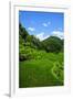 Bangaan in the Rice Terraces of Banaue, Northern Luzon, Philippines, Southeast Asia, Asia-Michael Runkel-Framed Photographic Print