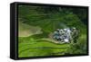 Bangaan in the Rice Terraces of Banaue, Northern Luzon, Philippines, Southeast Asia, Asia-Michael Runkel-Framed Stretched Canvas
